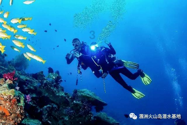 周星驰和张学友都有哪些让人难忘的影视作品？游戏画面
